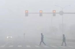 大霧天氣誤闖了交通信號(hào)燈怎么辦？
